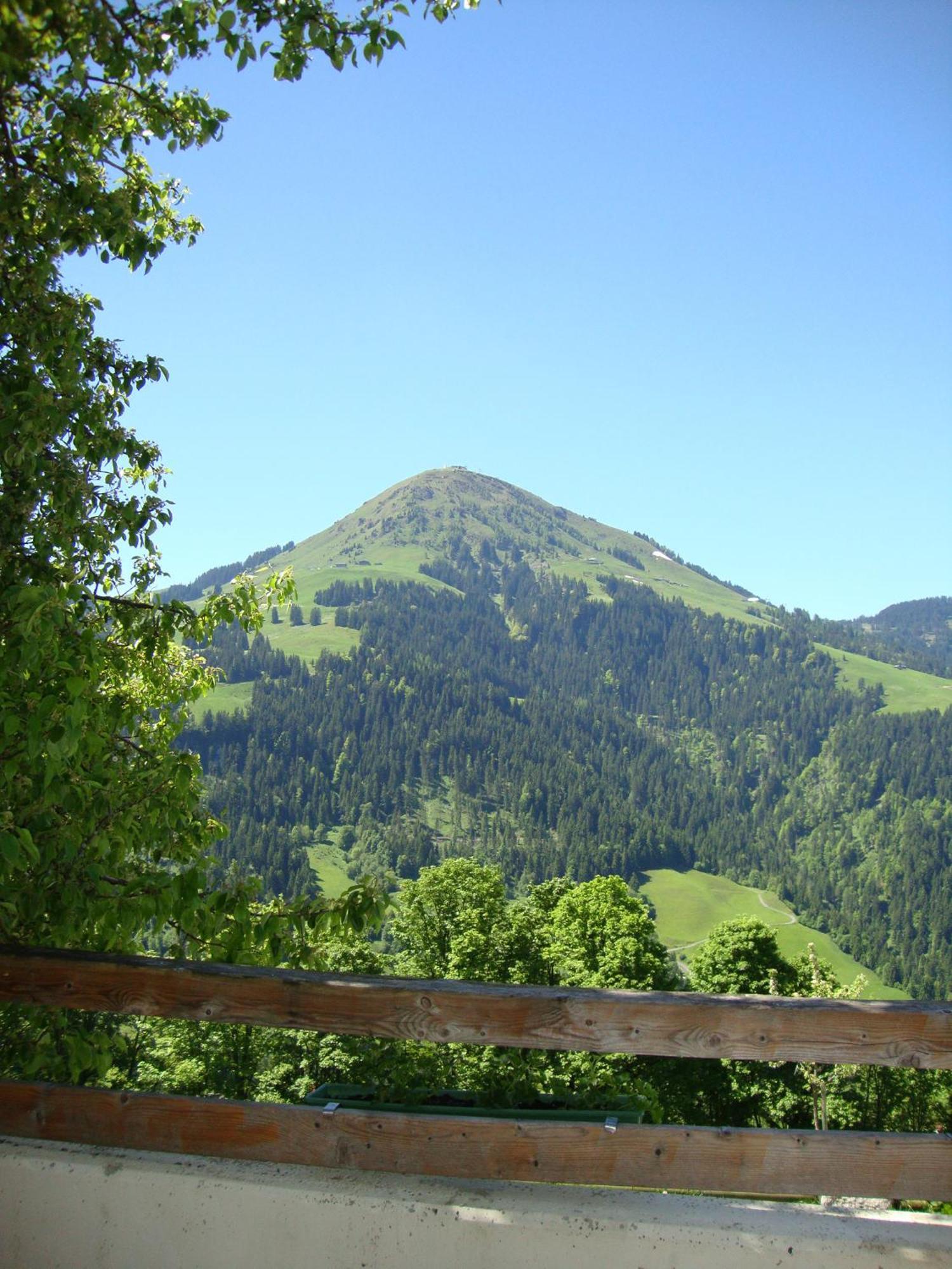 Alpengasthof Gruberhof Зёлль Экстерьер фото